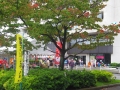 imgp2971